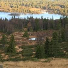 Treningsløp orientering Veståsen 2